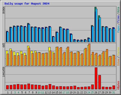 Daily usage for August 2024