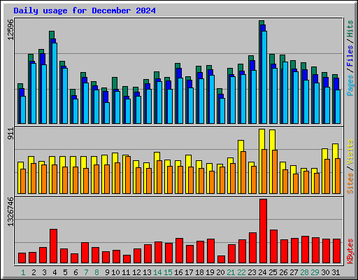 Daily usage for December 2024