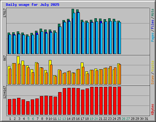 Daily usage for July 2025