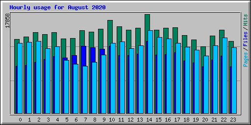 Hourly usage for August 2020