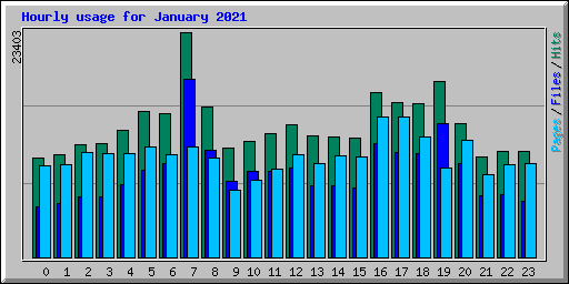 Hourly usage for January 2021