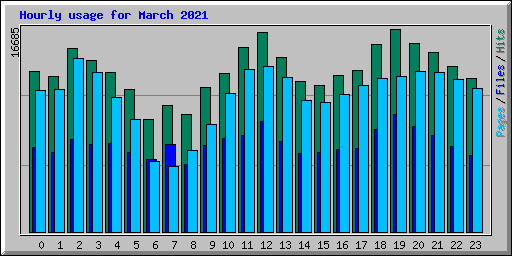 Hourly usage for March 2021
