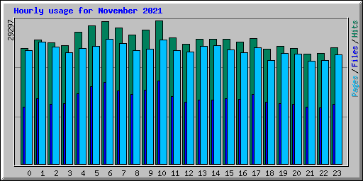 Hourly usage for November 2021