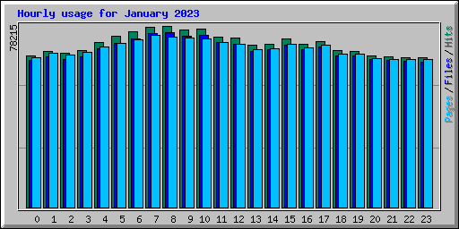 Hourly usage for January 2023