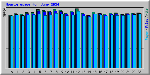 Hourly usage for June 2024