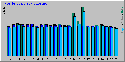 Hourly usage for July 2024