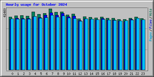 Hourly usage for October 2024