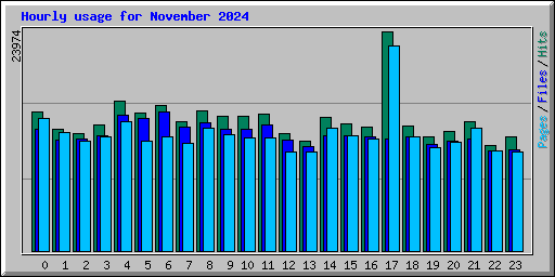 Hourly usage for November 2024