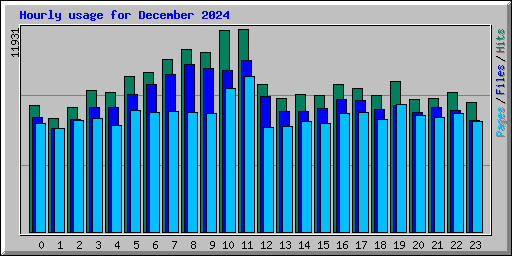 Hourly usage for December 2024