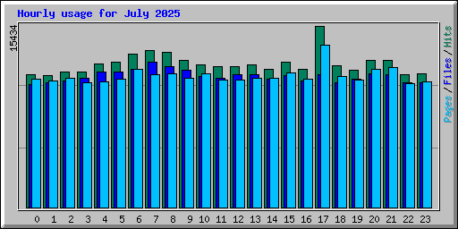 Hourly usage for July 2025