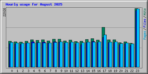 Hourly usage for August 2025