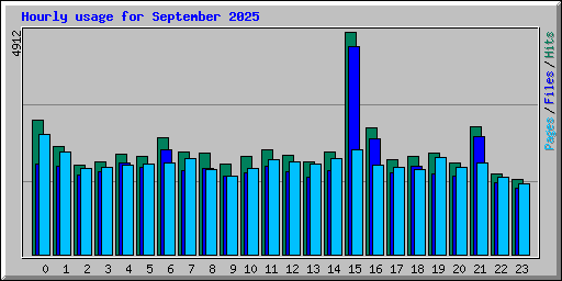 Hourly usage for September 2025