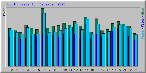 Hourly usage for December 2025