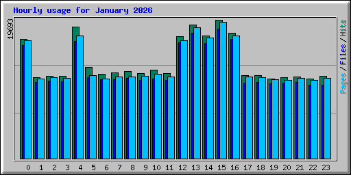 Hourly usage for January 2026