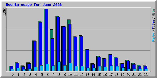 Hourly usage for June 2026