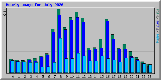 Hourly usage for July 2026