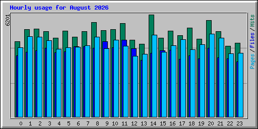 Hourly usage for August 2026